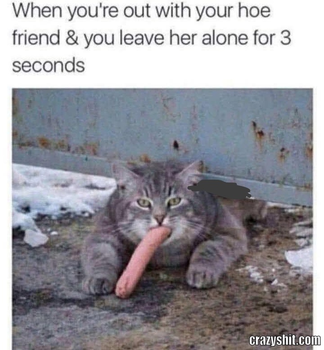 She Is Quick