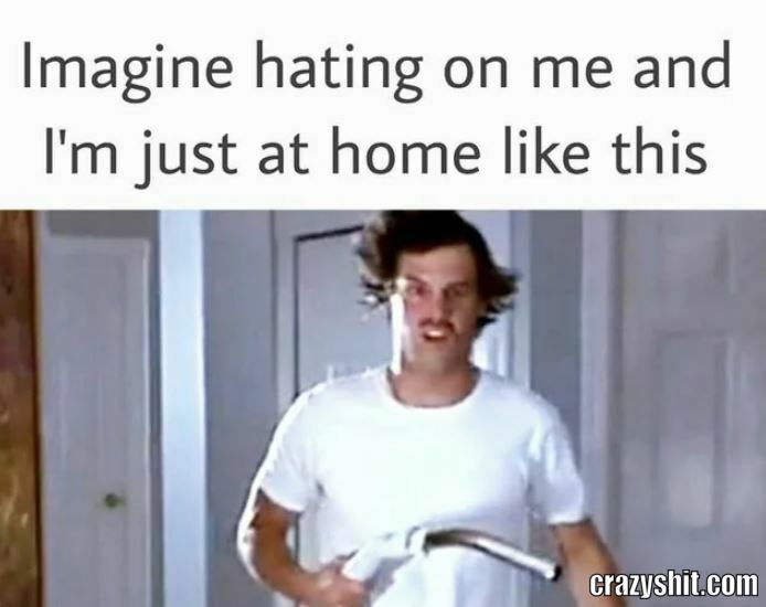 I Didn't Hurt Anybody