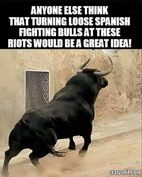 Bulls