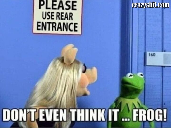 dont even think it frog