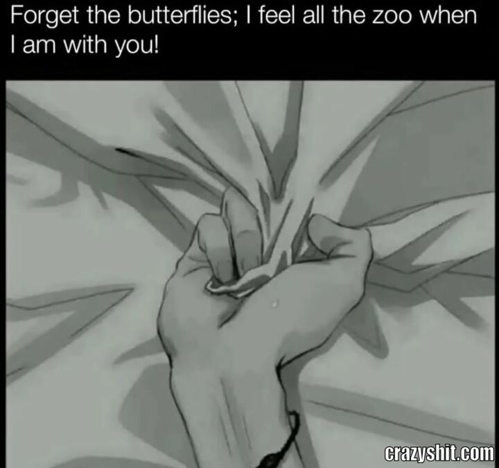 My Love Confession