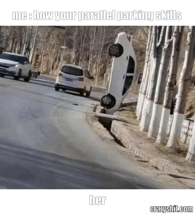 me : how your parallel parking skills