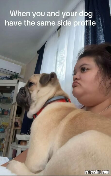 when you and your dog