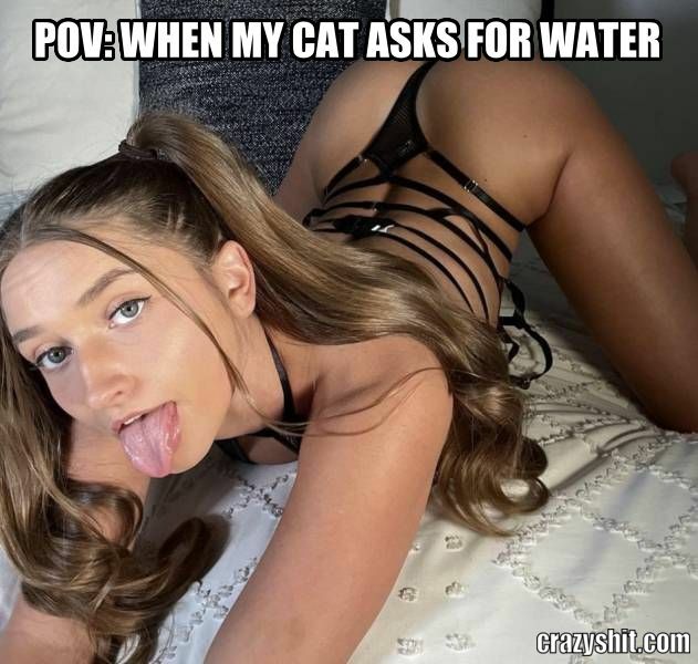 Summer Is Hot For My Kitty