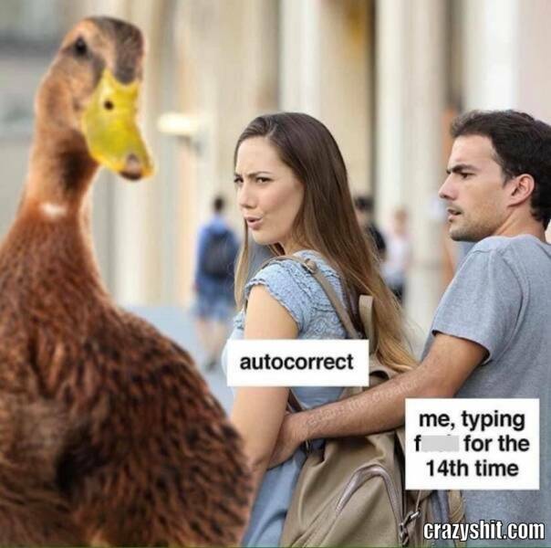 Always The Duck