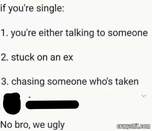 Bro We Are Ugly