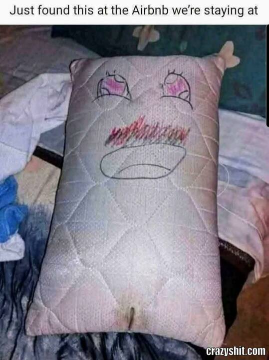 Oh Poor Wilson Pillow
