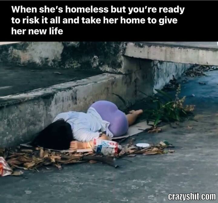 A New Life