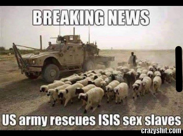 They Saved Them