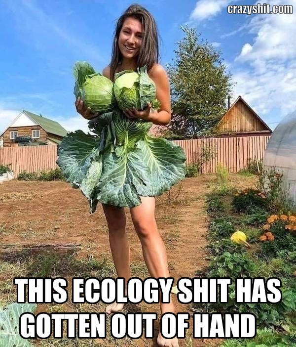 Eat Those Vegetables