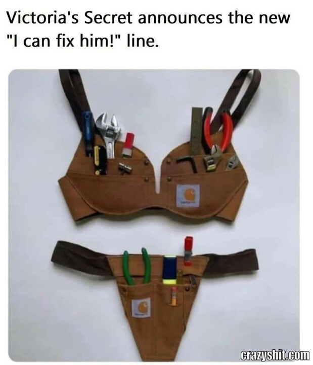 i can fix him line