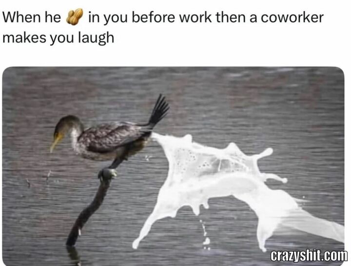 It's Dripping All Over