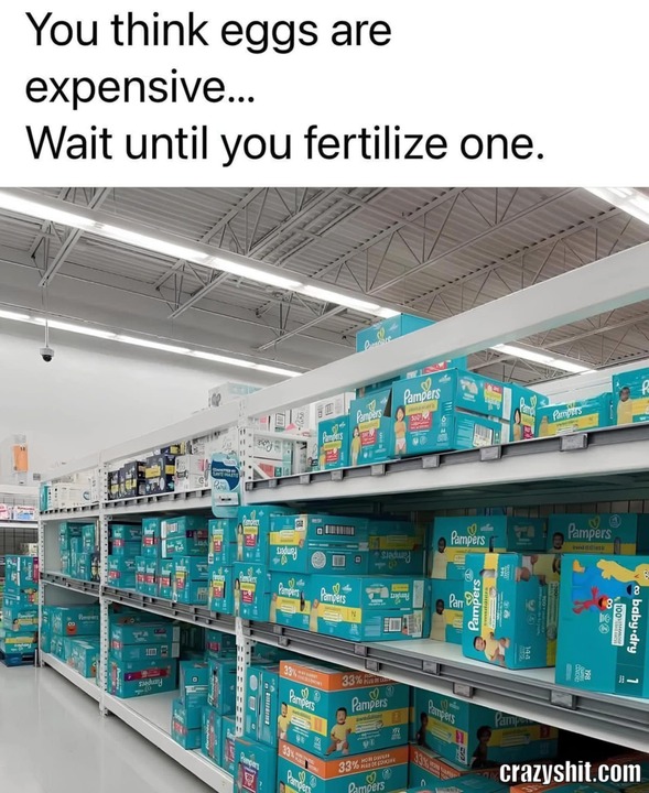 They Are More Expensive