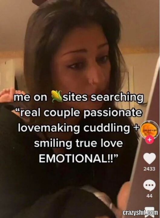 Searching For Quality Porn