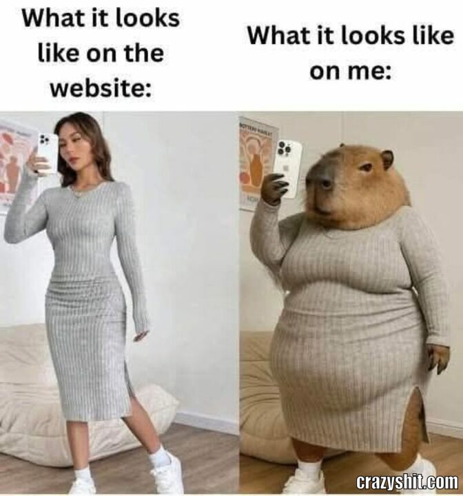 reality vs internet