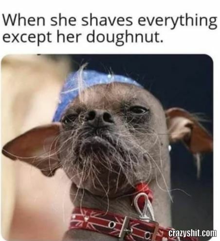 Shave It