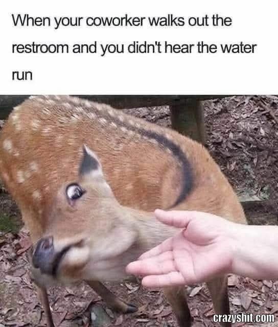 You Don't Fool Me