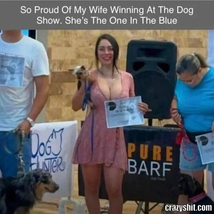 dogshow