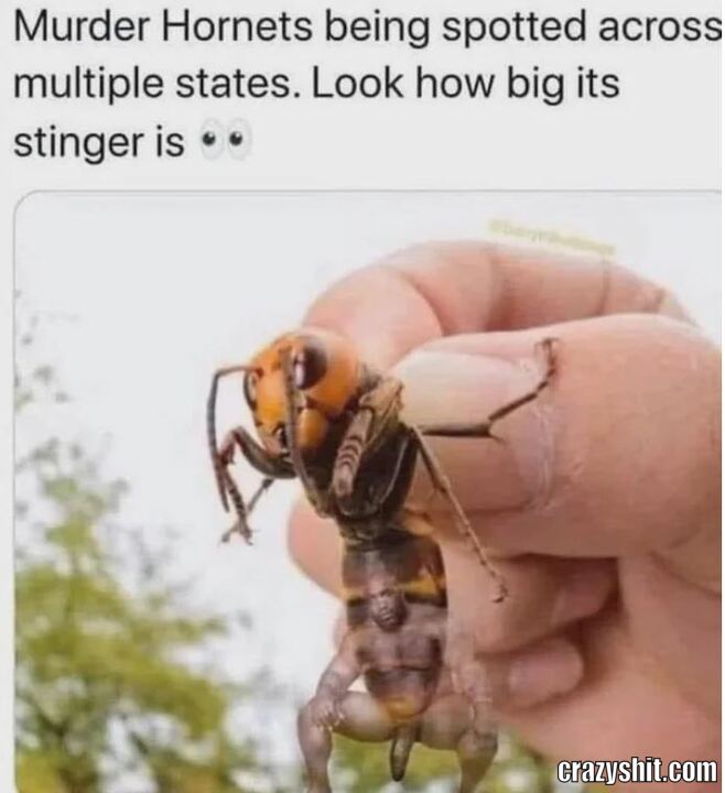 Very Dangerous