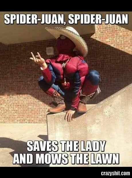First The Lady
