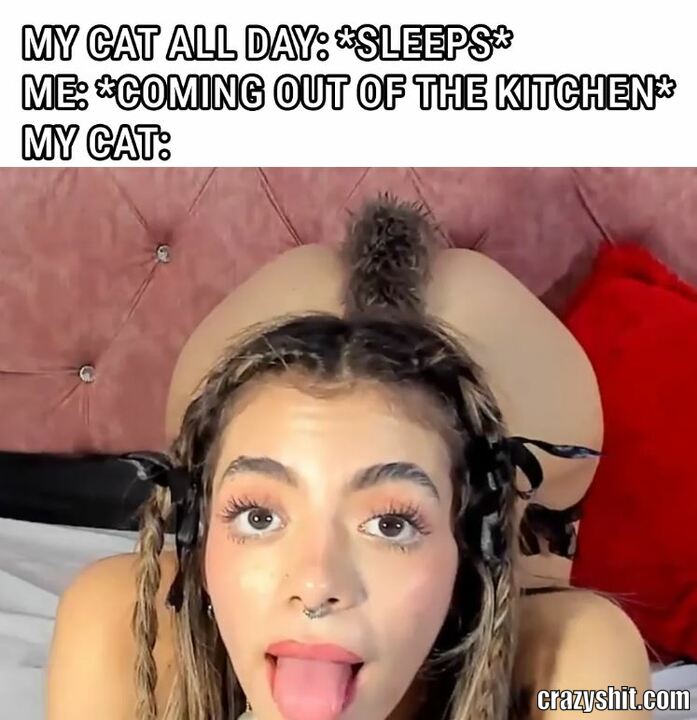 What Do You Want