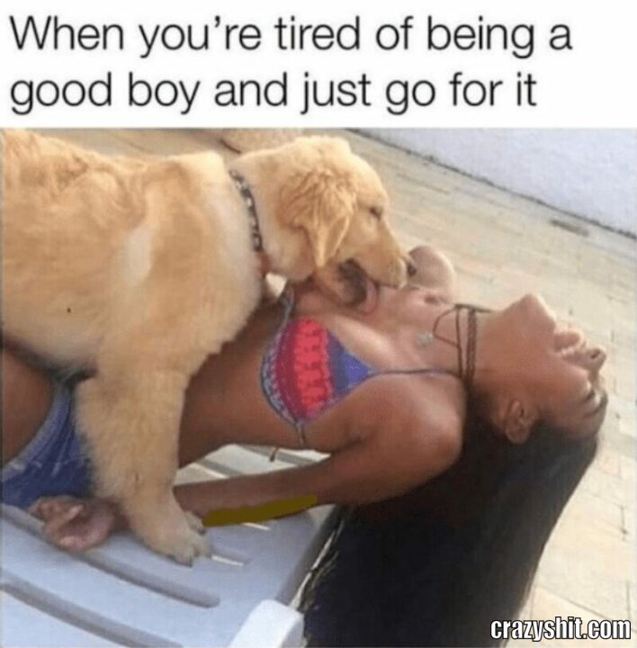 when you are tired of a good boy