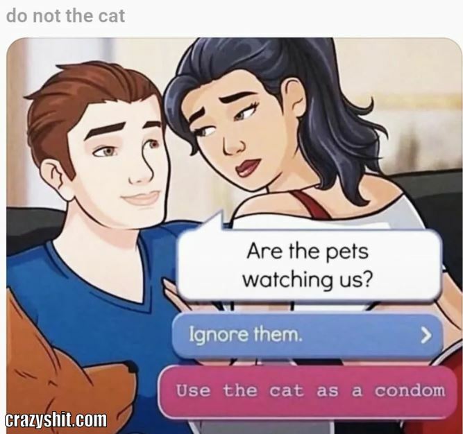 No The Poor Kitty