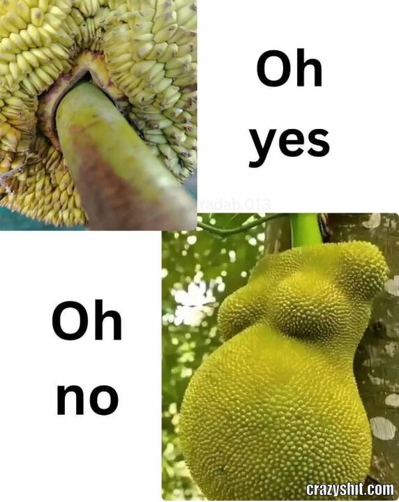 Oh No Step Plant