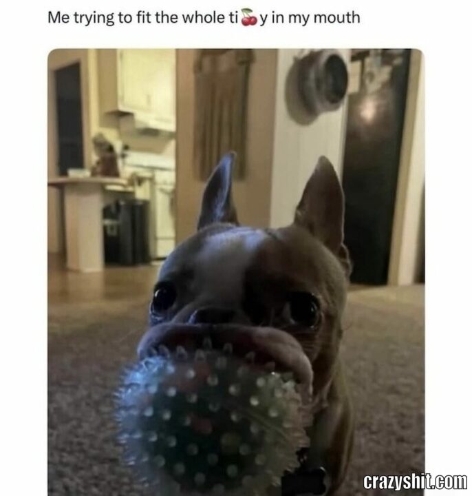 mi trying to fit