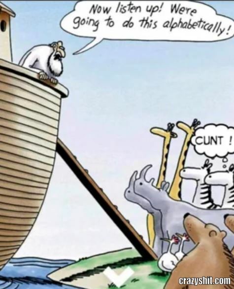 Poor Zebra
