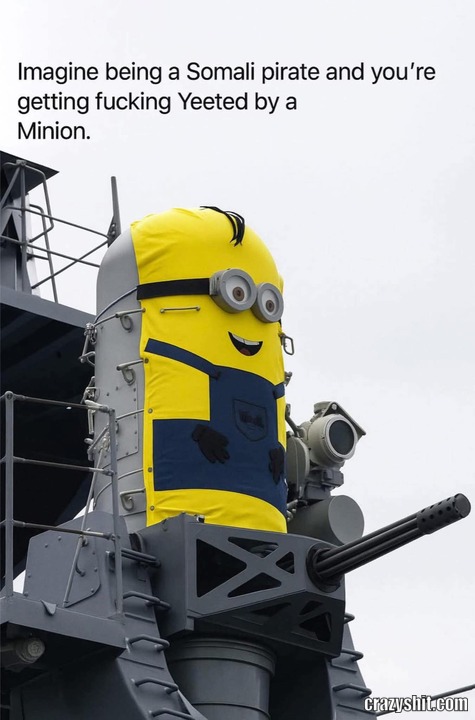 Shot By The Minion