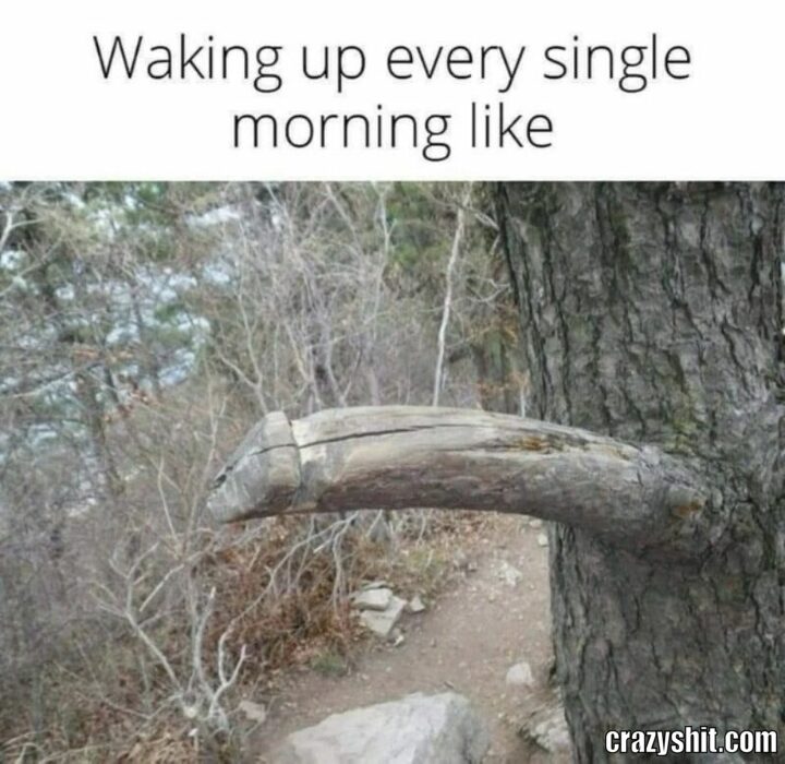 waking up