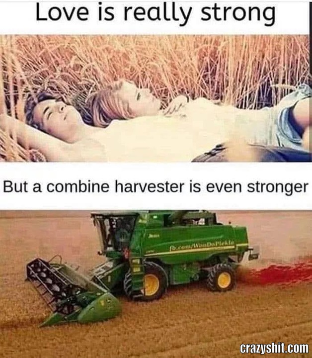Killing The Romance