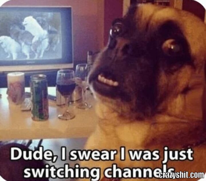 swising channerls