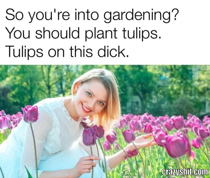 On This Dick