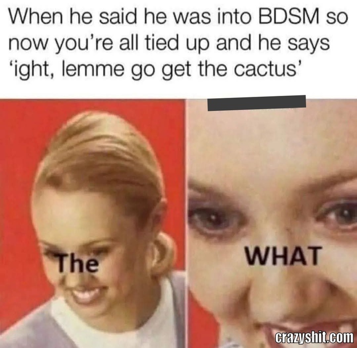 Not The Cactus