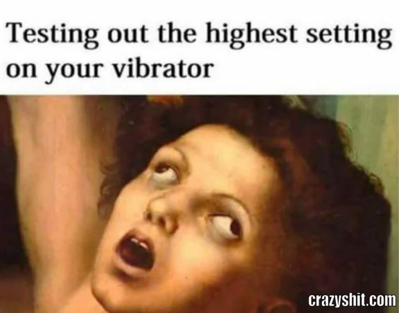 silicone sex toy cleaner Viral Tweet Advertisement Plugs / Twitter Vibrator Ad main image 0