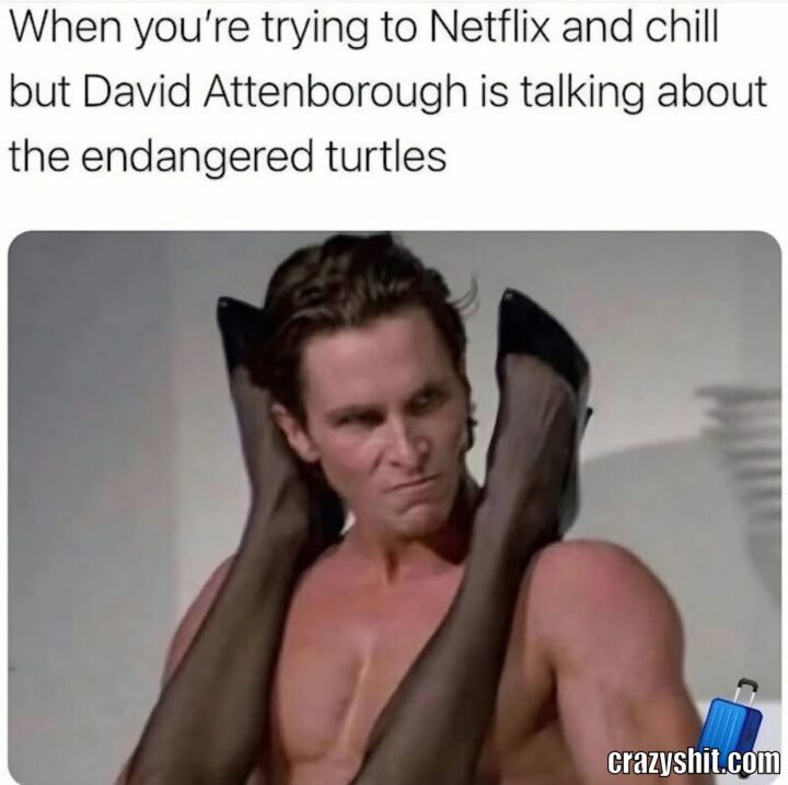 when you  trying netflix and chill
