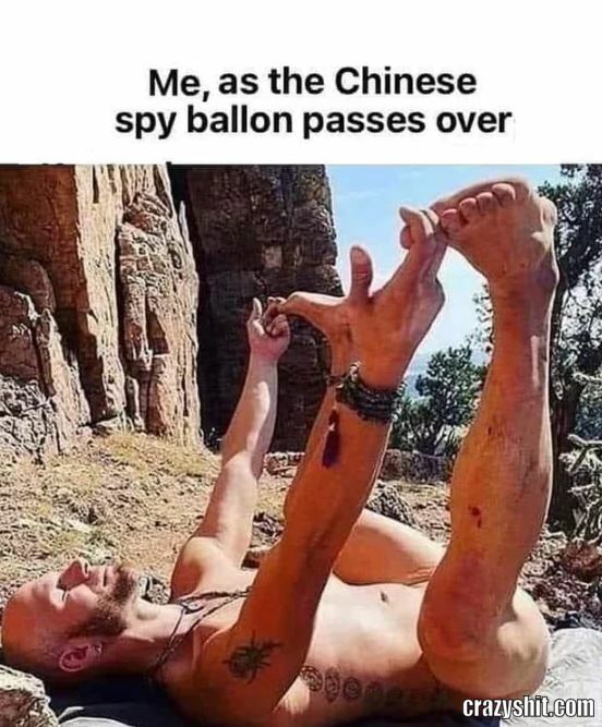 Spy This