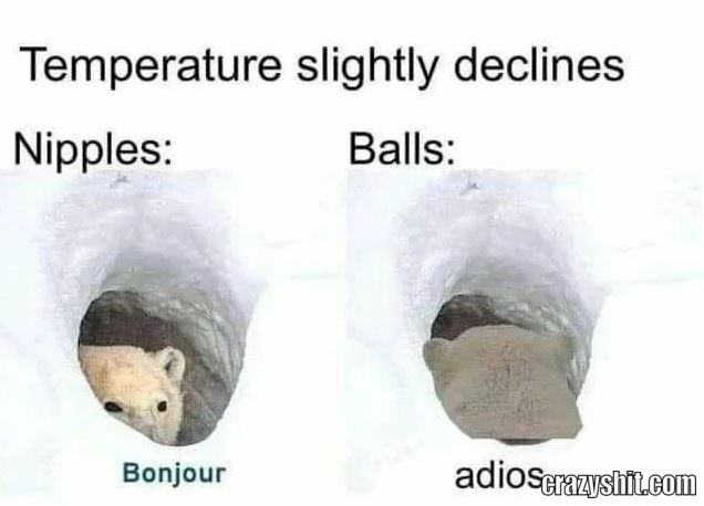 Balls Have Left The Chat