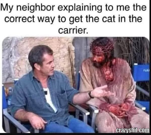 Every Cat Owner