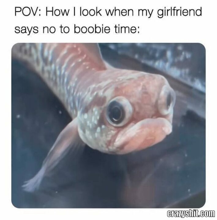 no boobie time