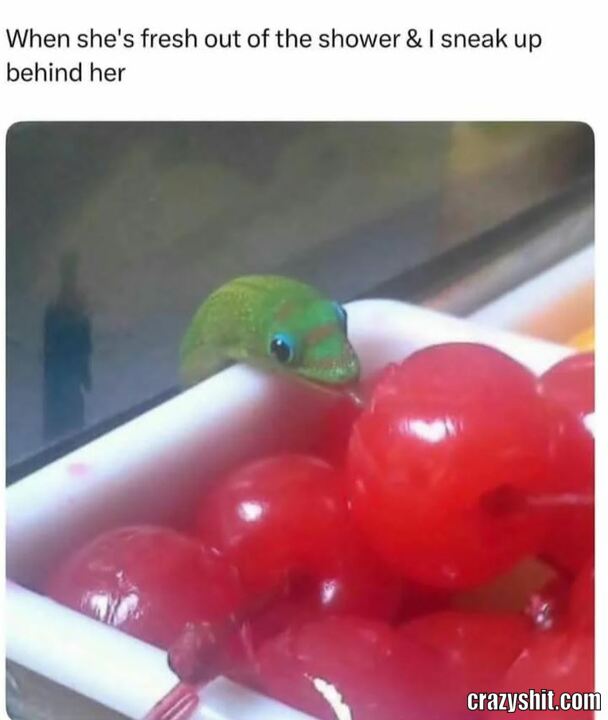 Give Me Some