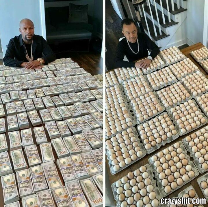 dollars vs eggs