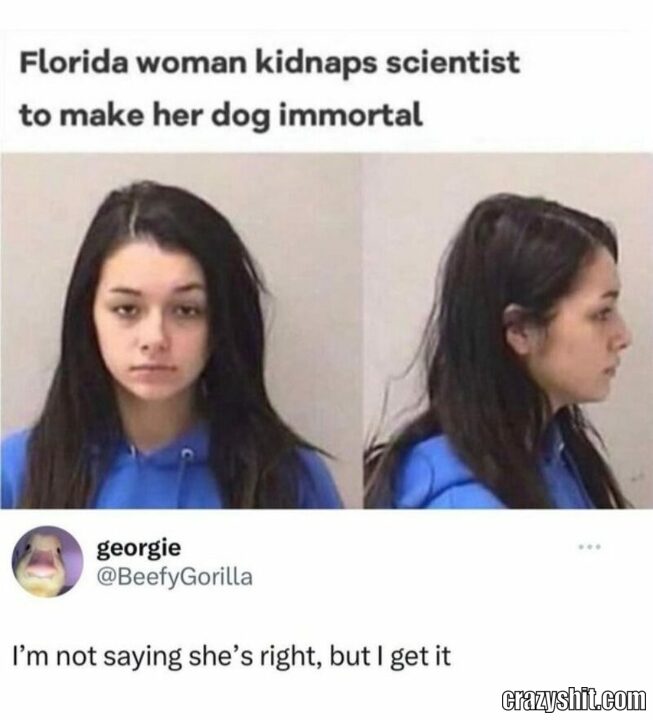 dog inmmortal