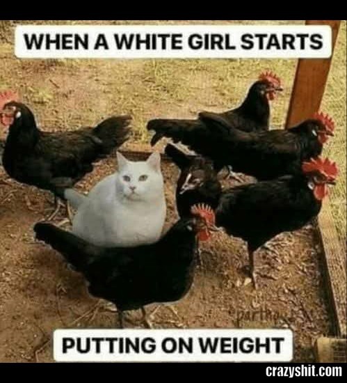 This Is True