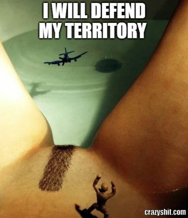 Protect My Territory