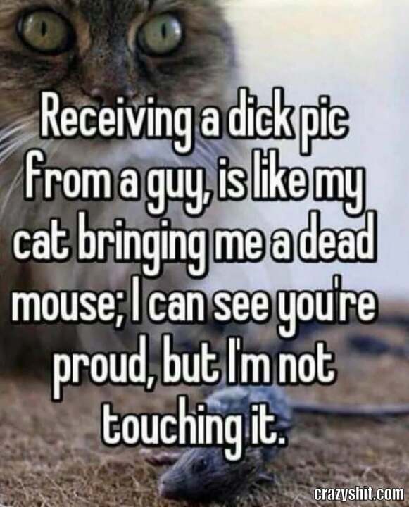 Not Gonna Touch It