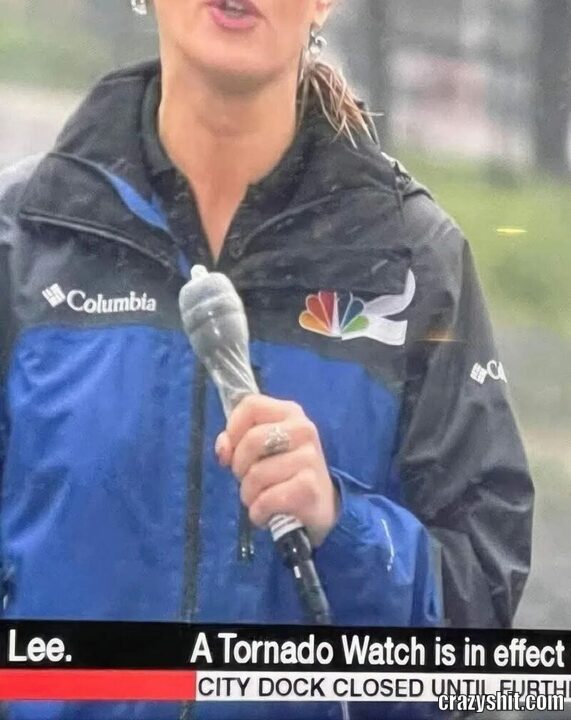 mic