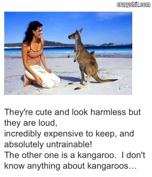 Kind Creatures